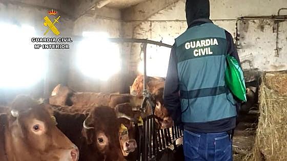 Estas son las cinco noticias del día en Cantabria