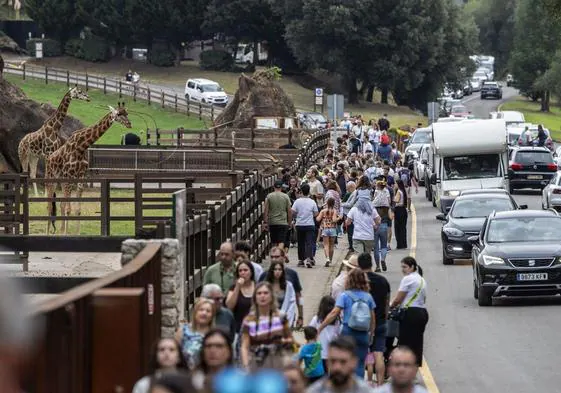 Cabárceno en el puente del 12 de octubre