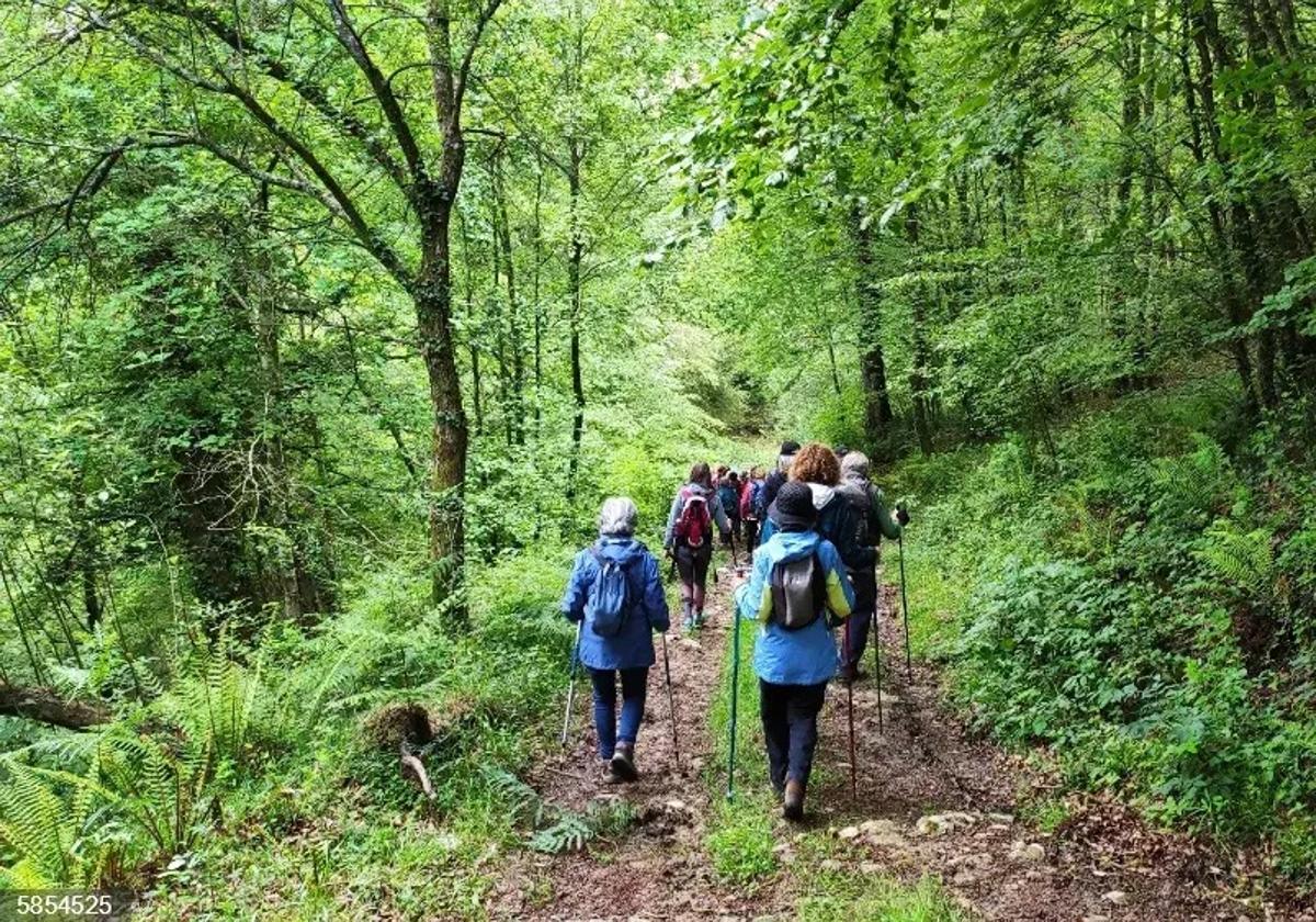 Tres rutas interpretativas esta primavera con Bosques de Cantabria
