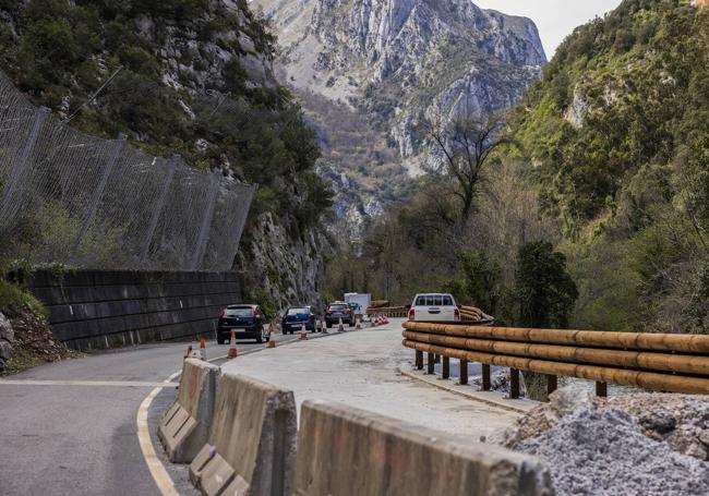 Las biondas cubiertas de madera reducen el impacto.