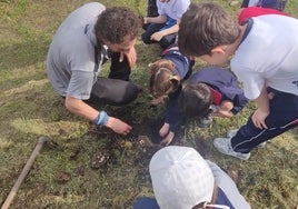 Escolares barquereños en la plantación realizada durante la mañana del viernes.