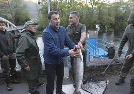 El campanu de Asturias, ya en tierra, en manos de su captor.