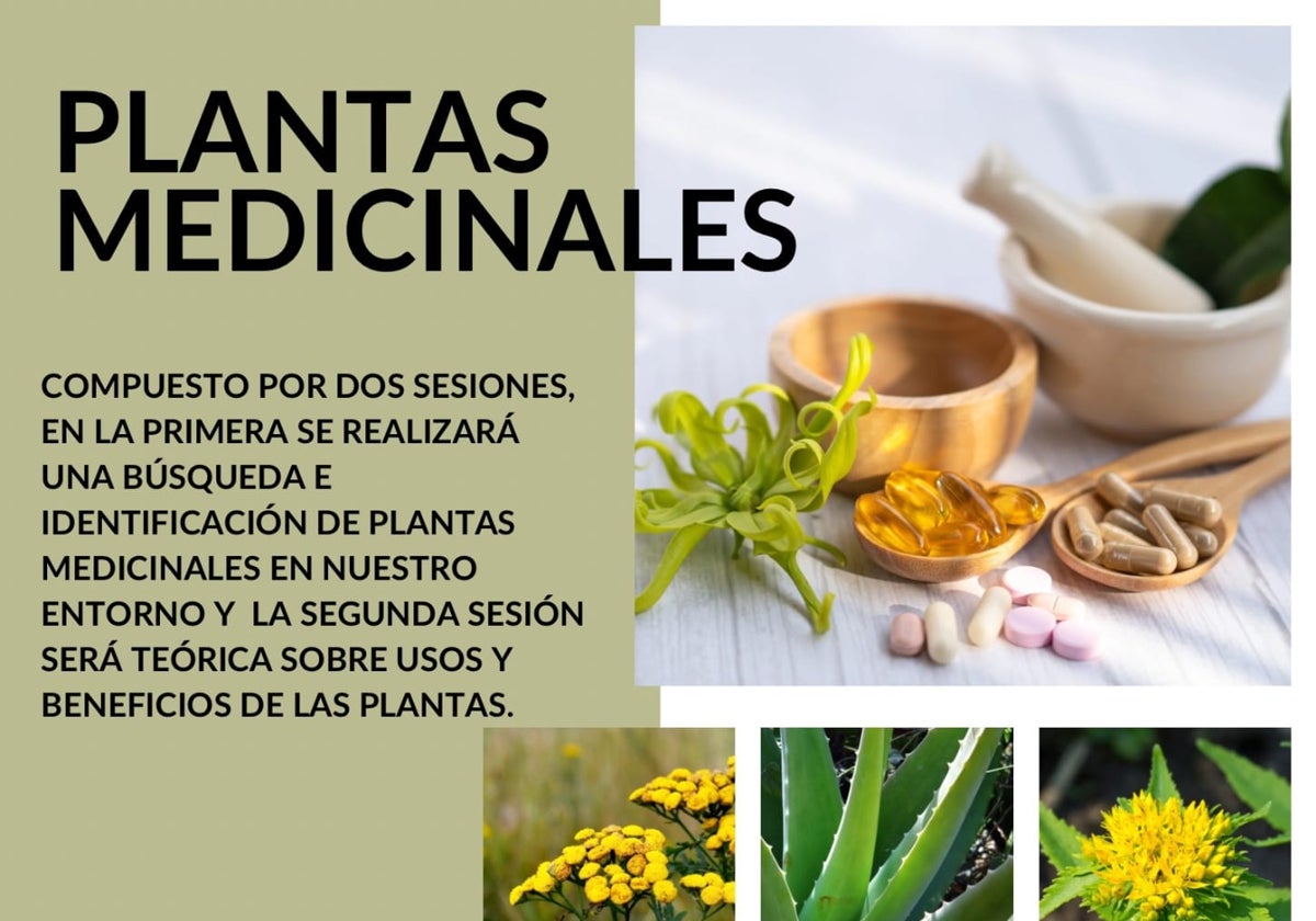 Cartel del programa del curso sobre plantas medicinales.