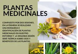 Cartel del programa del curso sobre plantas medicinales.