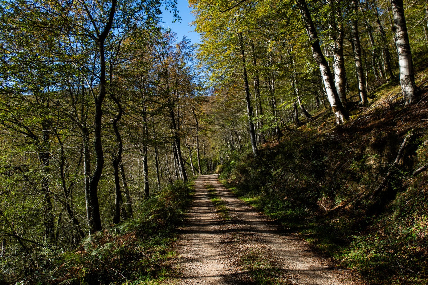 Una pequeña recta es el único tramo llano de una ruta en la que la subida es constante, pero sin pendientes de grandes porcentajes.