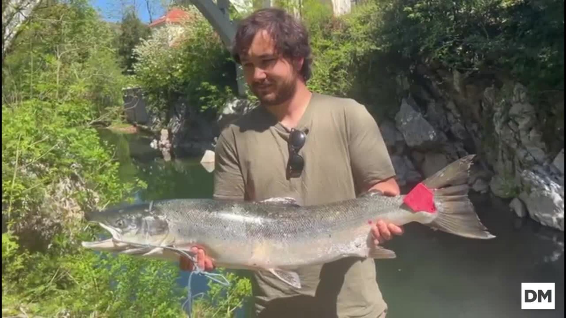 Un 'campanu' de siete kilos