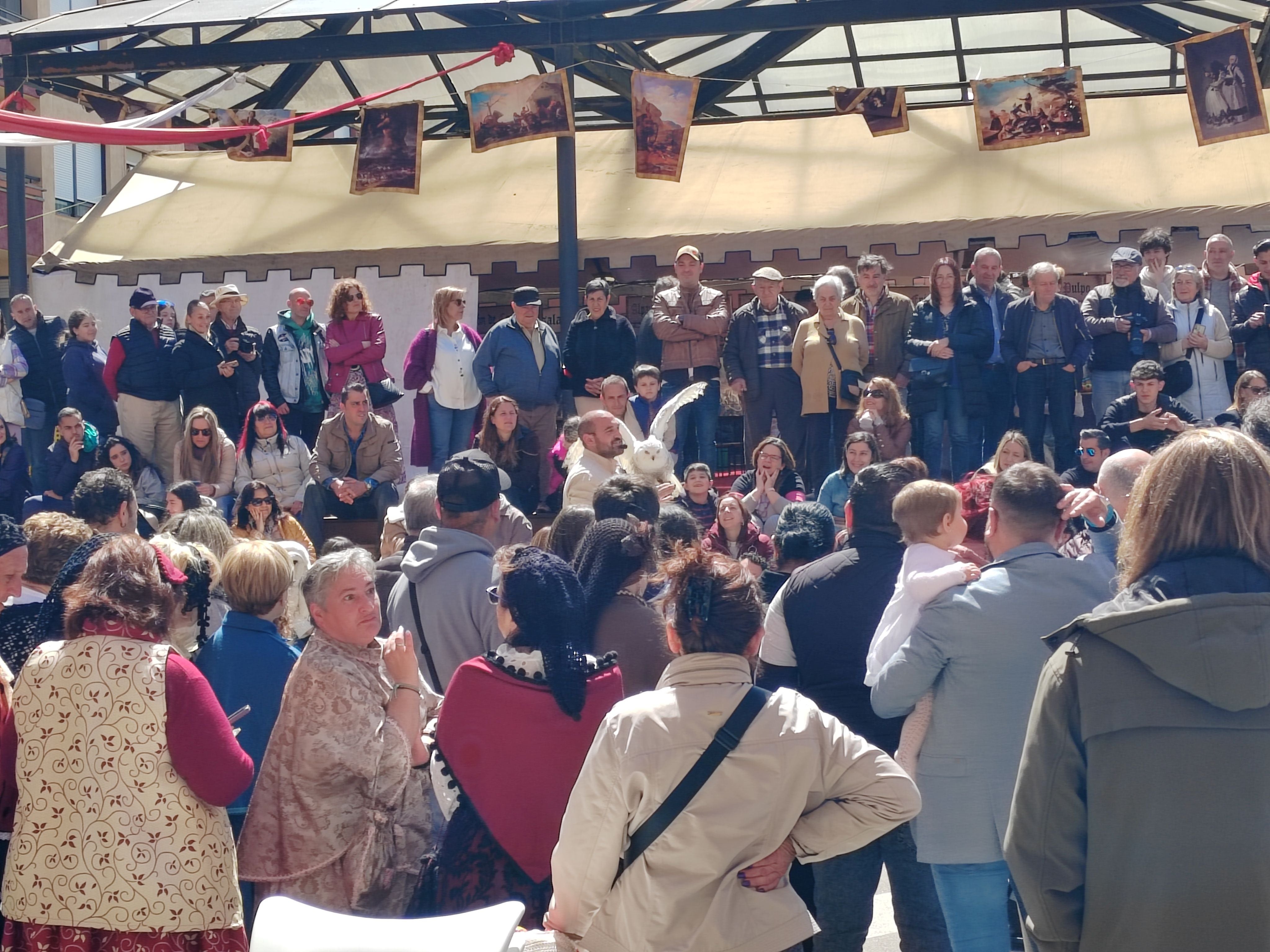 La exhibición de cetrería en la plaza de la Constitución reunió a gran afluencia de curiosos 