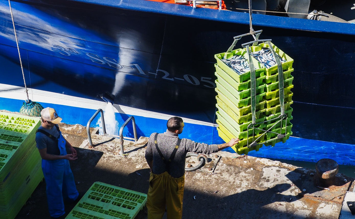 El pescado se ha subastado a una media de 2,07 euros.