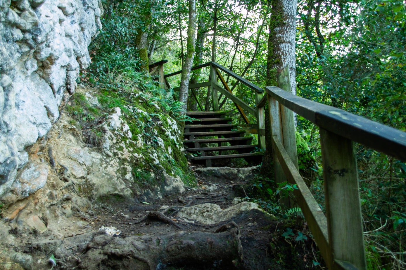 Algunas escaleras ayudan a salvar el mínimo desnivel que hay en el recorrido.