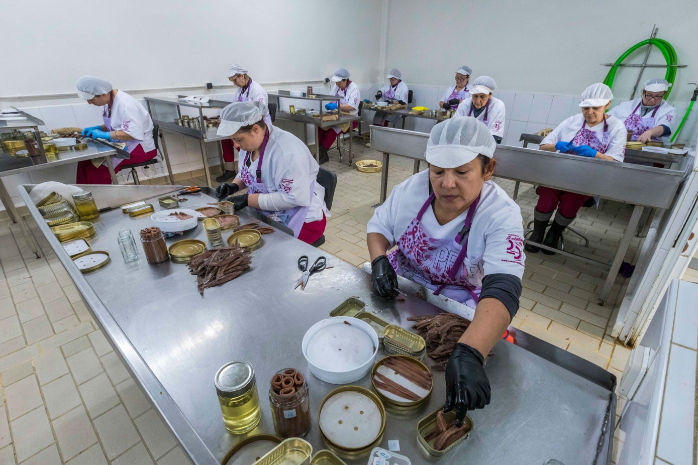 Ataviadas con gorro y guantes, las sobadoras trabajan en la sala de fileteado