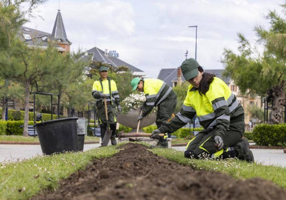 Operarios de Parques y Jardines.