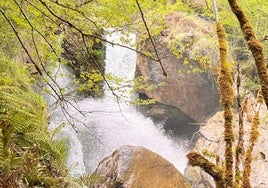 Así baja estos días las cascada de las cuevas del Vejo.