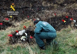 Imagen de un agente cántabro investigando un incendio forestal.