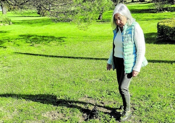 La vecina y propietaria de La Posada La Merced, María Luz Calvillo, señala los daños del jabalí.