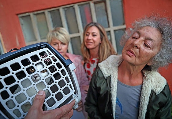 Tres voluntarias de la asociación EPA con uno de los gatos capturados en jaula.