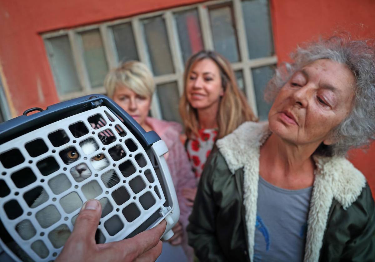 Tres voluntarias de la asociación EPA con uno de los gatos capturados en jaula.