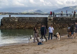 El portavoz socialista, Daniel Fernández, junto a vecinos de Santander y sus perros en la playa surgida en la rampa de Gamazo.