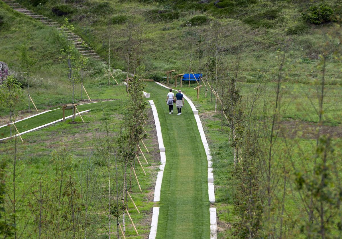 Caminos de césped rodeados de árboles que representan a las víctimas del covid