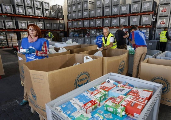 Voluntarios del Banco de Alimentos, organizando el almacén en Torrelavega