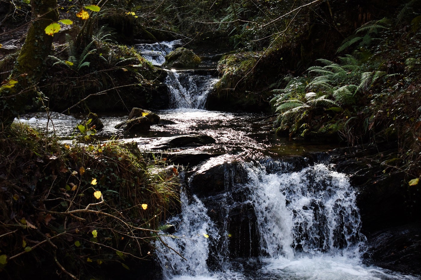 Los saltos de agua en la zona de las cascadas son de lo más variado en tamaño y forma.