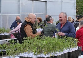 Vecinos acuden a la entrega de plantas de tomate, a mediados del mes pasado, en la finca de La Jurona (Campuzano).