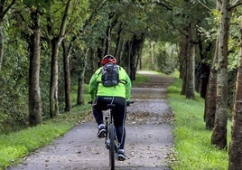 Un ciclista pasea por el carril bici de Villaescusa.