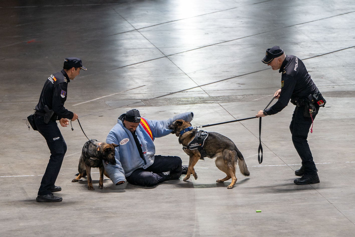 La Unidad Especial de Guías Caninos ha participado en un simulacro para detener a un ladrón.