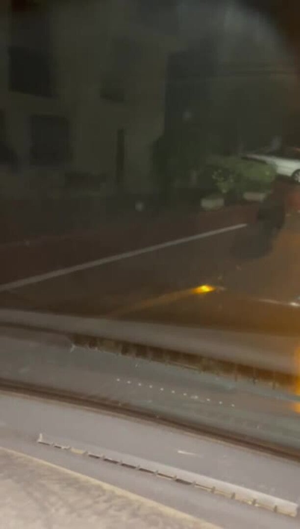 Un oso, grabado por un vecino en Cabezón de Liébana