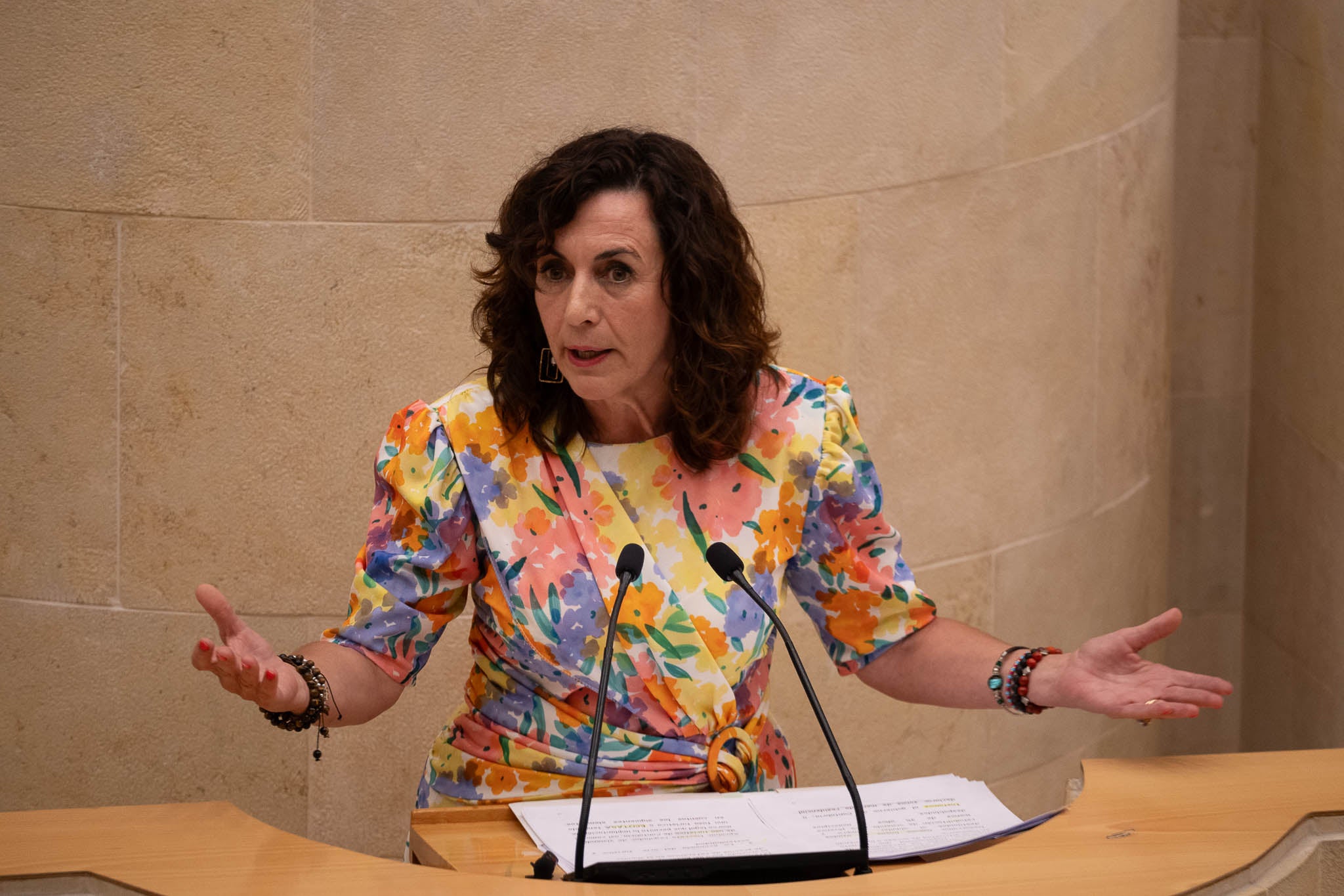 Ana Belén Álvarez tomó la palabra por el PSOE en el primer turno de intervenciones.