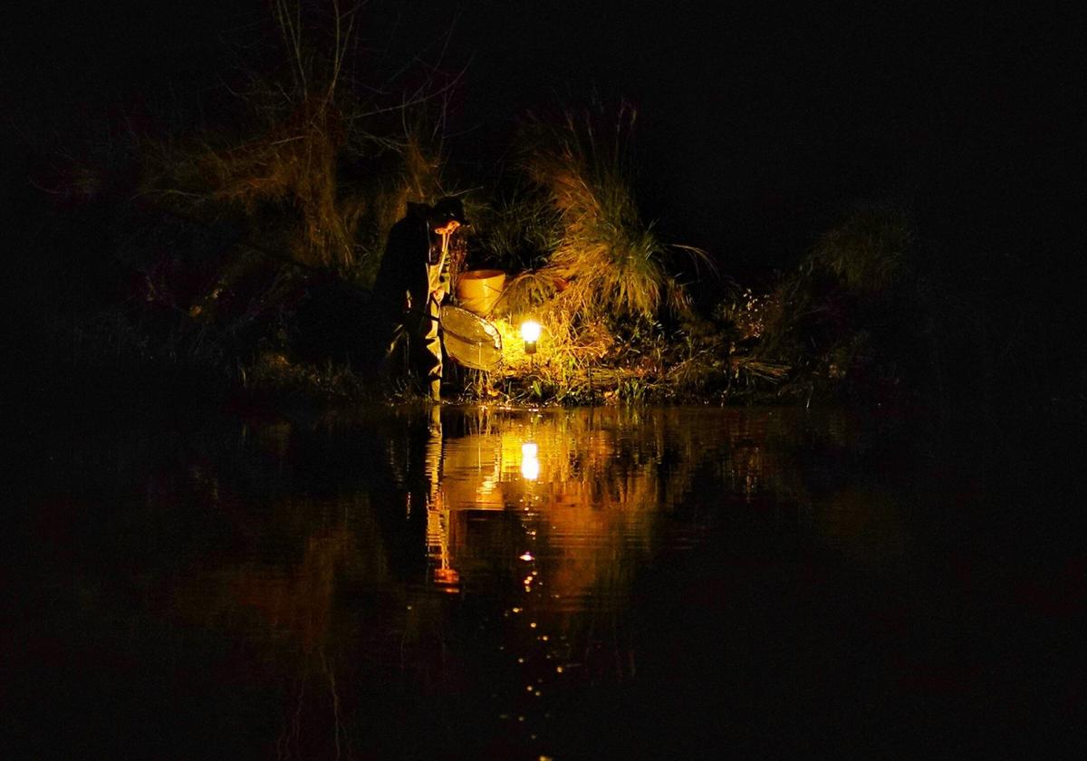 Mariscadores pescando angulas.