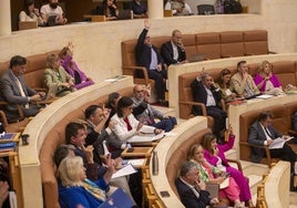 El Pleno se reunió en una sesión extraordinaria con solamente dos puntos en el orden del día.