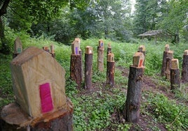 Naturaleza y ruralidad caracterizan la identidad de los encuentros de arte, Aselart, de Mazcuerras.