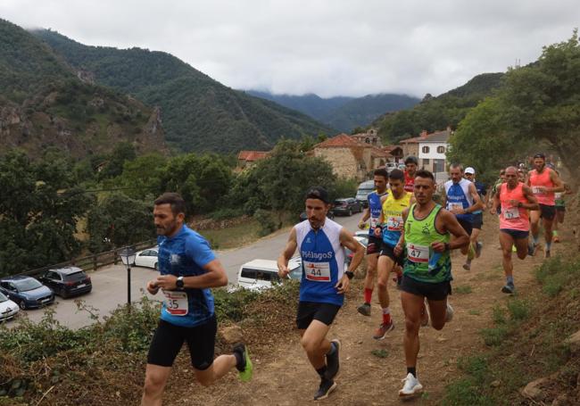 Grupo de corredores durante el recorrido