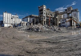 Trabajos de desmantelamiento del complejo industrial de Sniace, el pasado mes de marzo.