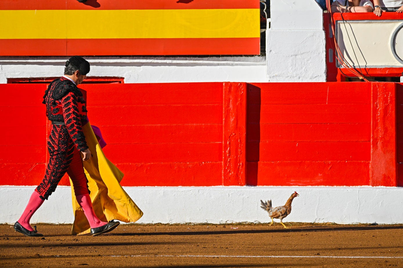 Un banderillero intenta coger un ave que lanzaron al ruedo