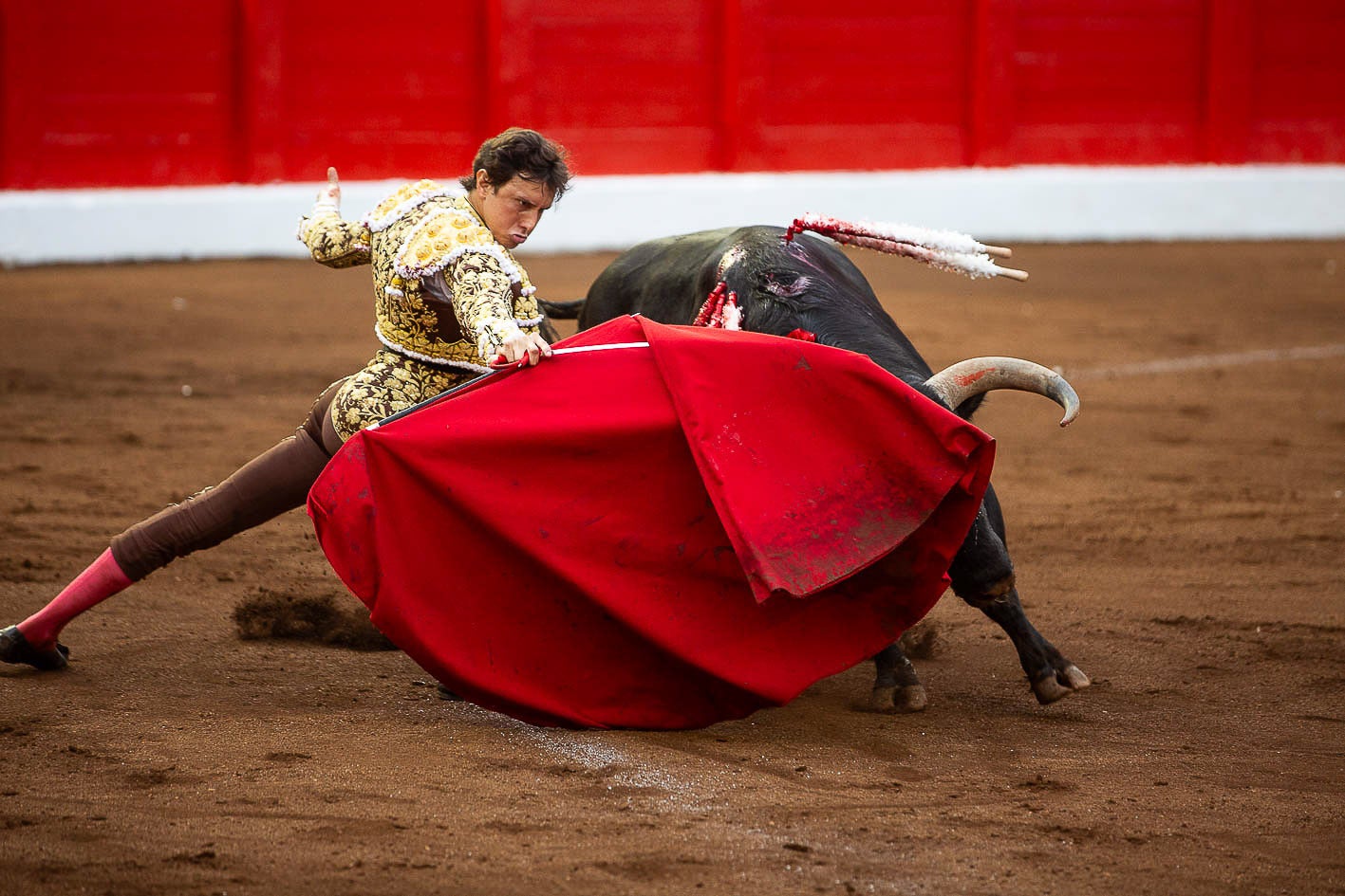 Derechazo de Roca Rey en el inicio de su faena