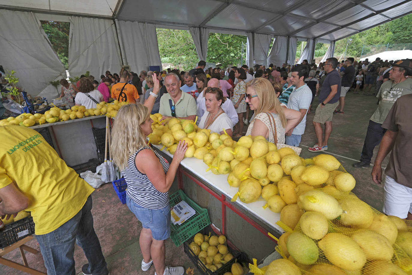 Los limones se vendieron bien, al precio de tres euros .