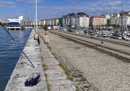 Un grupo de pescadores con sus cañas en la dársena.