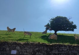 Intervención 'Luces de Mazcuerras', de los artistas Jofre Sebastián y Joan Baca, en el 'prao' de Sobarriba, en torno a un castaño centenario.