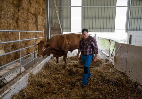 Un ganadero con un animal afectado por la enfermedad hemorrágica epizoótica, en una imagen de archivo del año pasado.