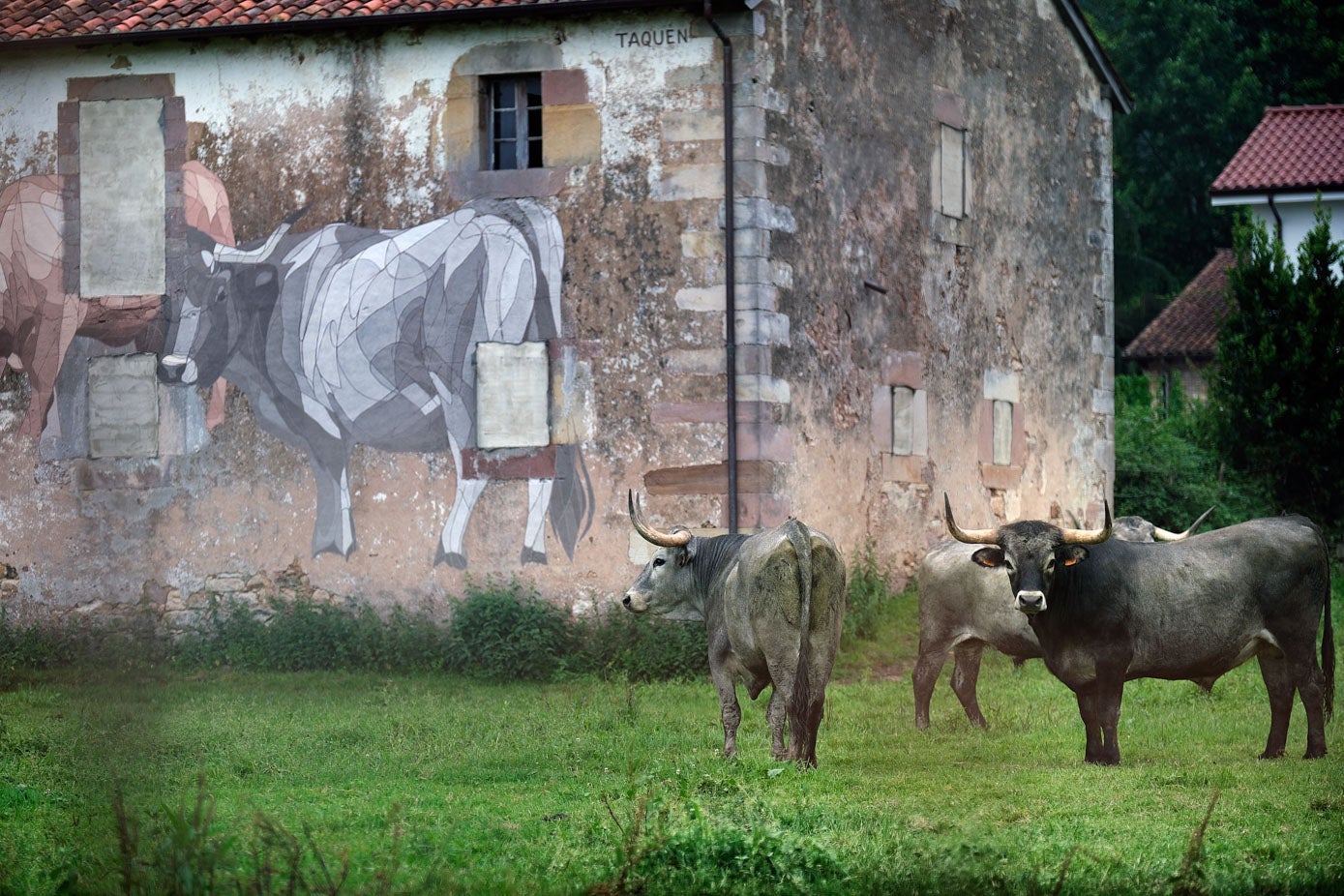 El mural de Taquen, 'Ser y pacer', en el antiguo albergue de peregrinos con las vacas pastando