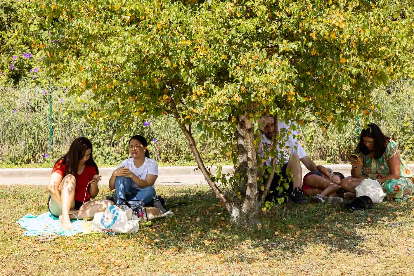 Conversaciones a la sombra en la zona ajardinada junto a la playa de La Fenómeno, en Santander. 