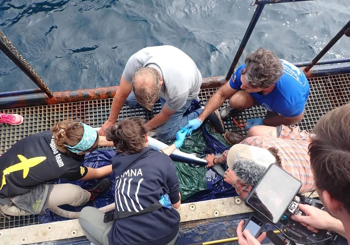 El equipo de investigadores durante una de la capturas de la expedición por el Golfo de Vizcaya