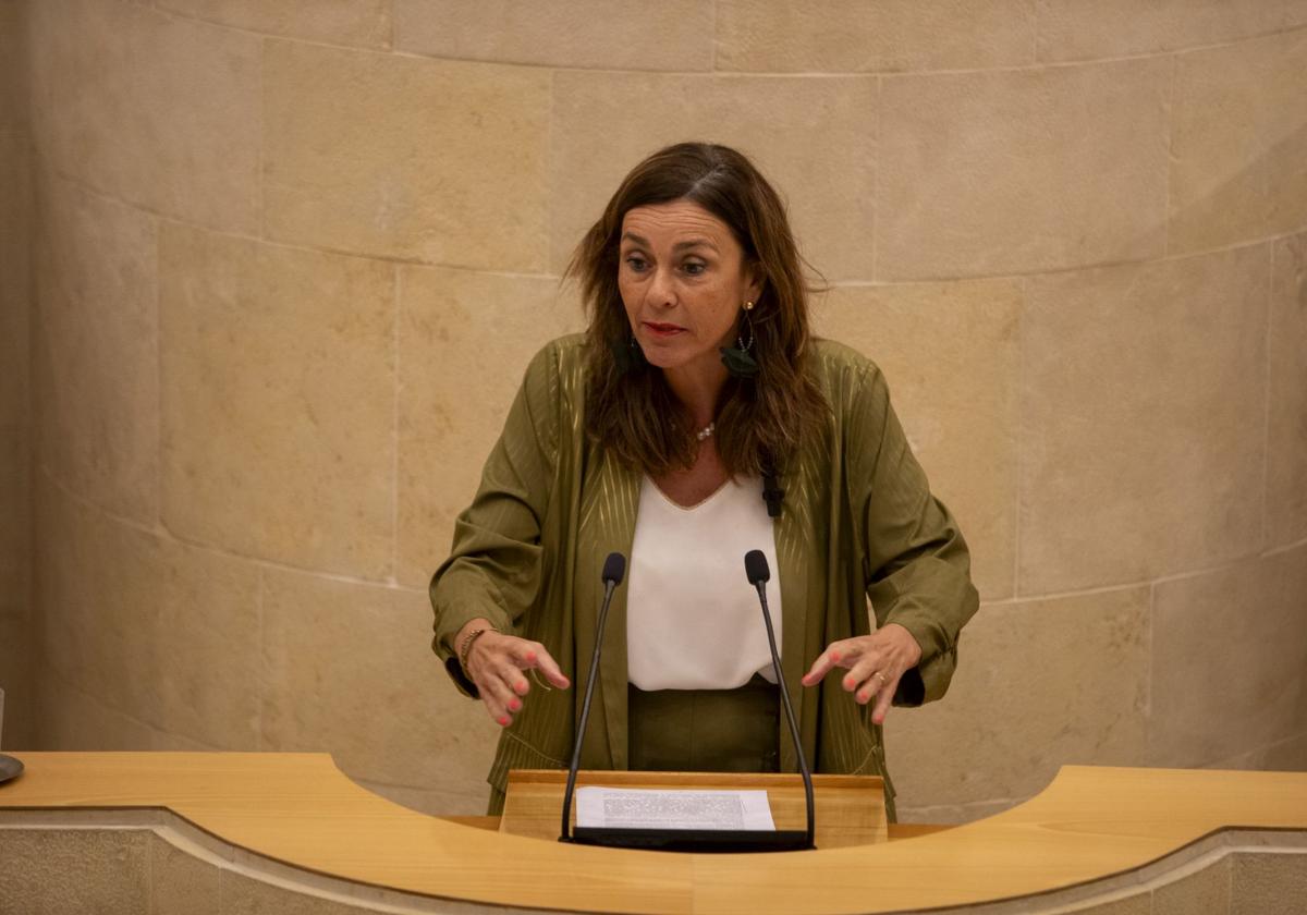 Paula Fernández, diputada regionalista