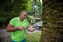 Pedro Carriedo, jardinero especializado en la lucha contra el picudo rojo