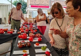 Desarrollo Rural apoya el festival del tomate de Bezana