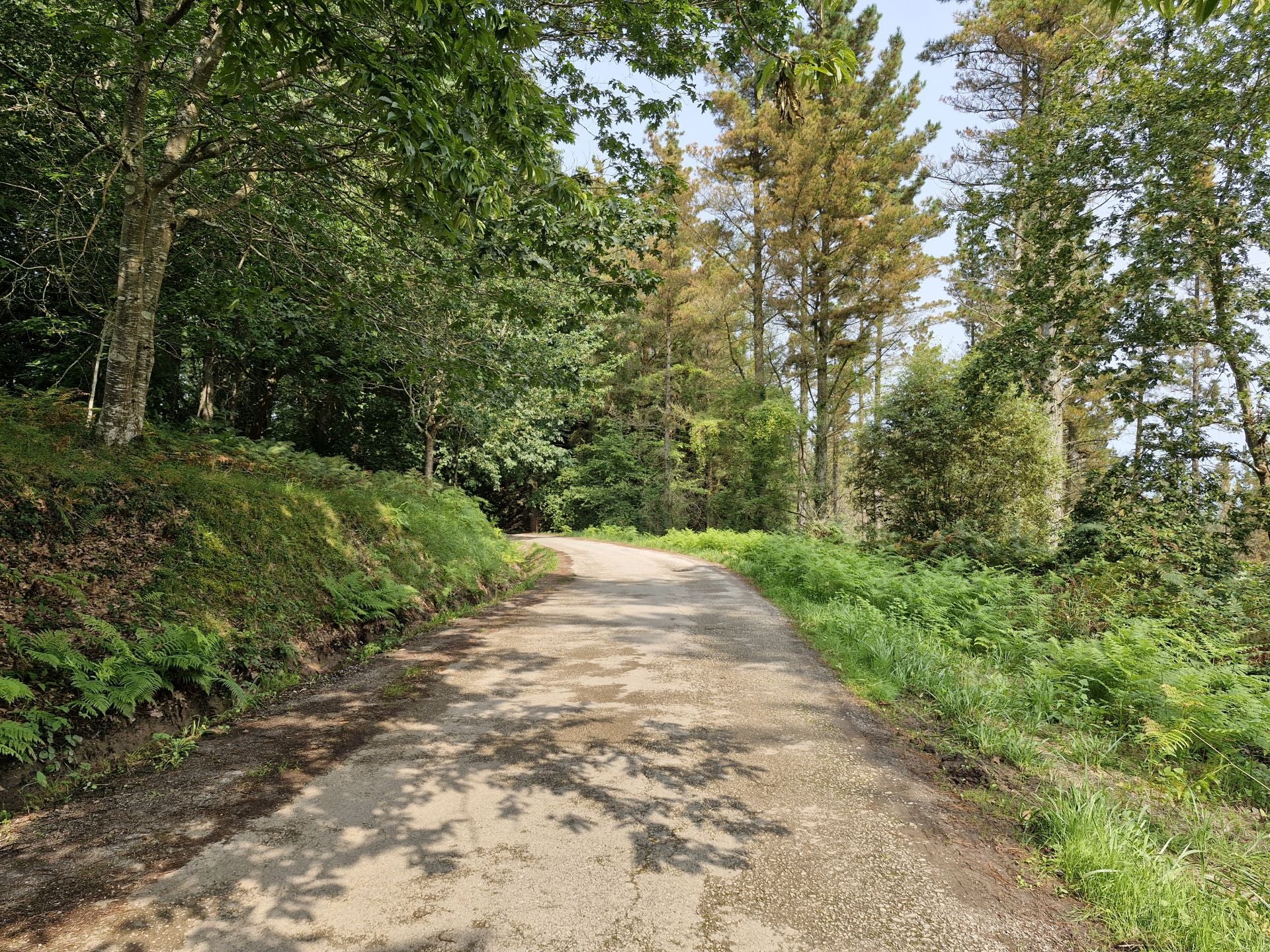 En varios tramos, el recorrido se hace por carretera. No puede ser más cómodo.