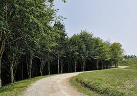 Un paraje para disfrutar de la naturaleza