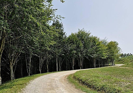 Un paraje para disfrutar de la naturaleza