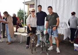 Desfile canino y felino en Liencres